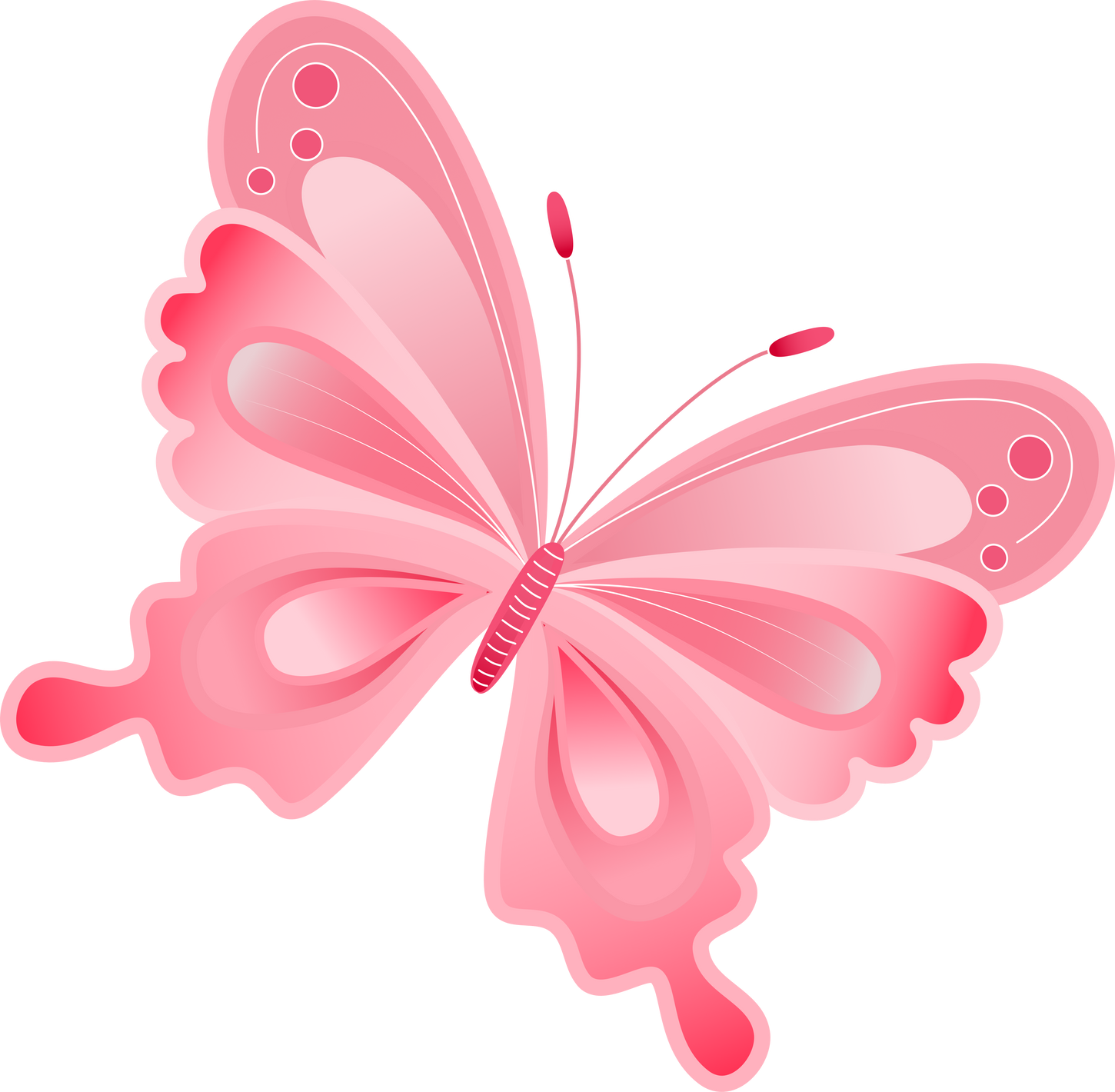 Pink Butterfly Illustration